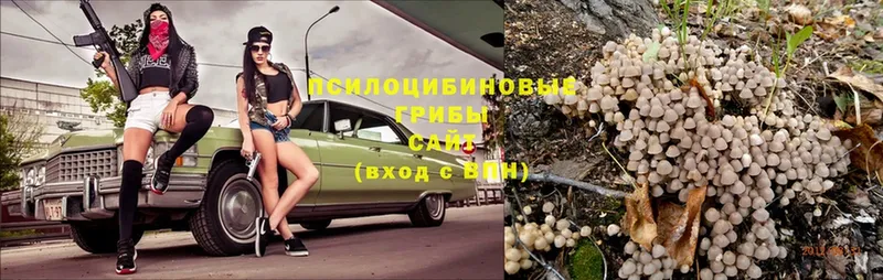 Псилоцибиновые грибы Magic Shrooms  Высоковск 