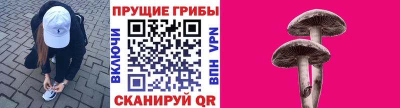 Галлюциногенные грибы ЛСД  купить наркоту  Высоковск 